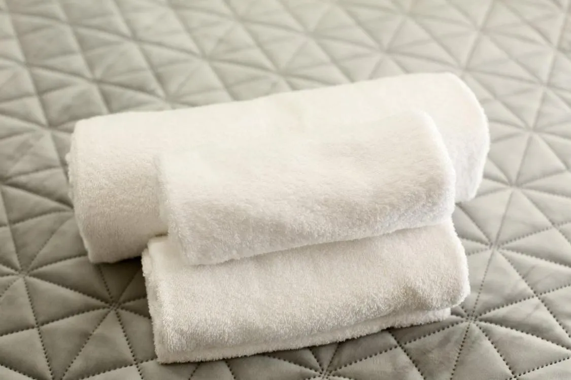 Vanella Rome Domus Bed & Breakfast
